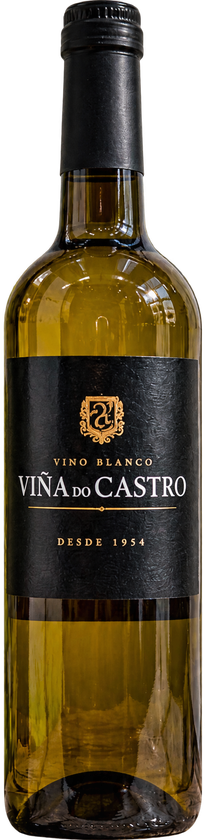 Botella de Viña do Castro, vino blanco afrutado selección de Cambados, 75 cl