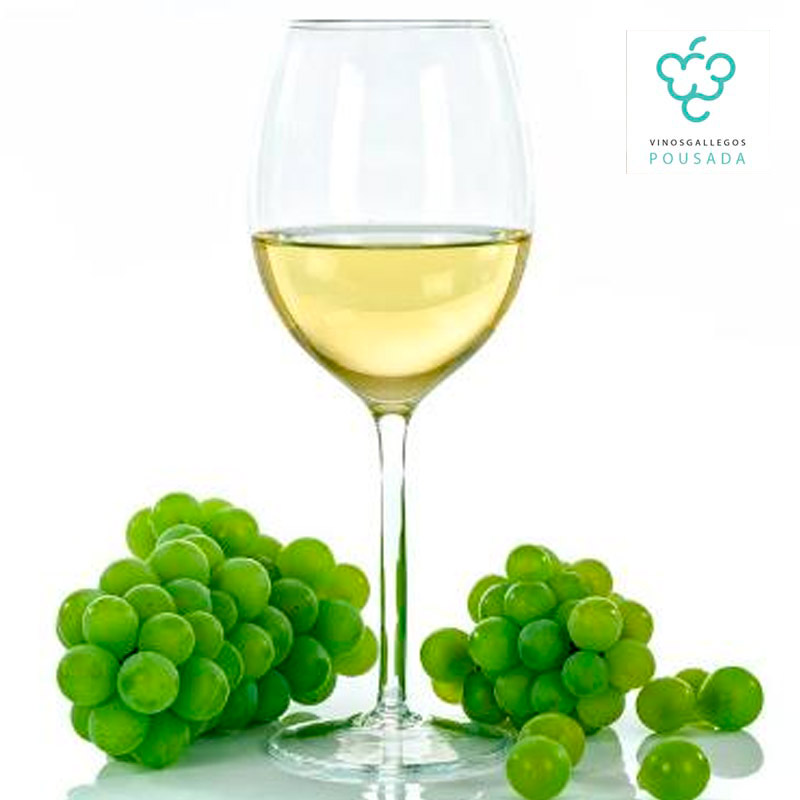 01-FINCA-LAVANDEIRA-BLANCO-02