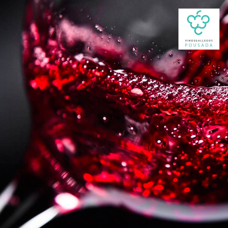 01-FINCA-LAVANDEIRA-TINTO-02