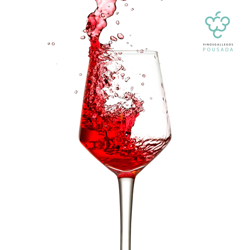 01-don-paulino-rioja